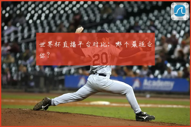 世界杯直播平台对比：哪个最适合你？
