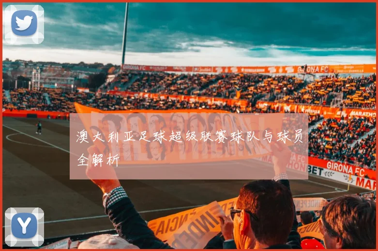 澳大利亚足球超级联赛球队与球员全解析
