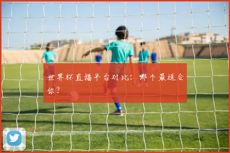 世界杯直播平台对比：哪个最适合你？