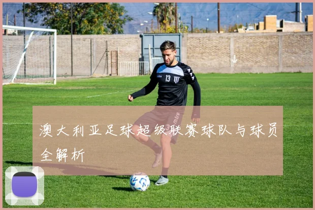 澳大利亚足球超级联赛球队与球员全解析